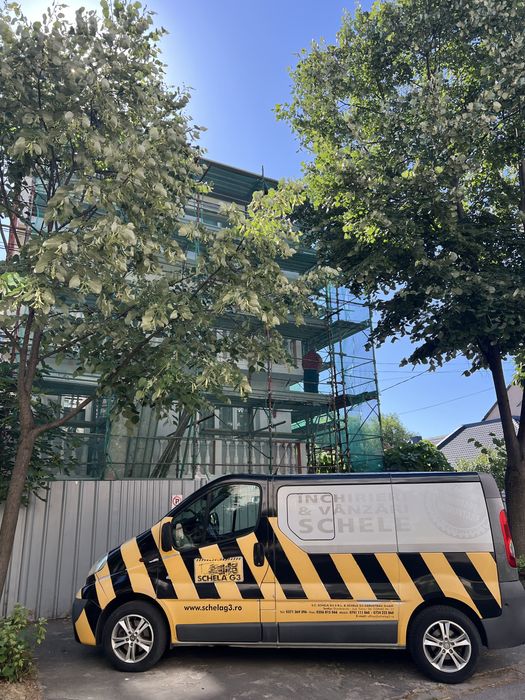 Transport Profesionist platforma cu macara si microbuz.