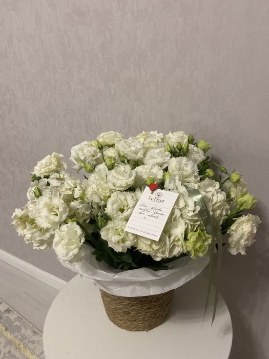 продаю цветы 18к