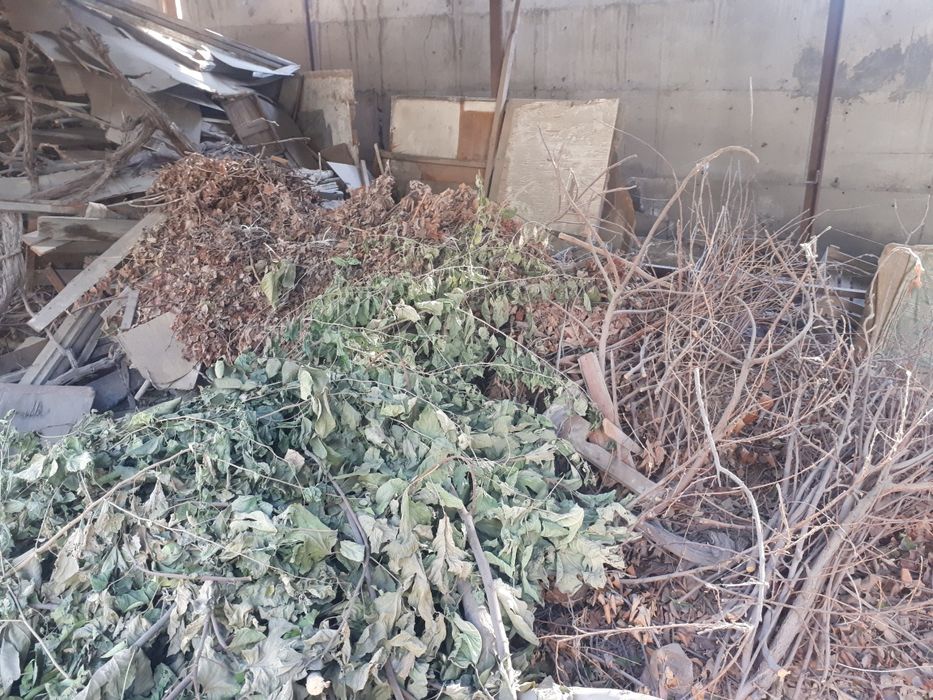 Қуруқ ўтинлар сотилади