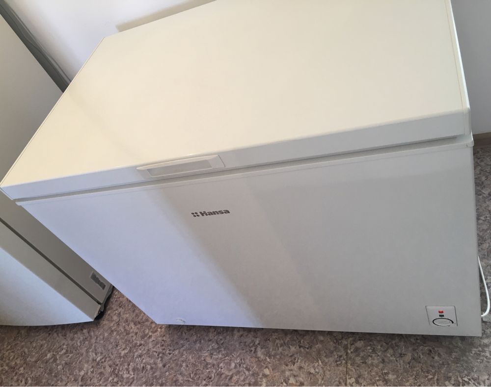 Продам морозильную камеру HANSA FS 300.3