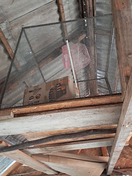 Colivie păsări peruș etc