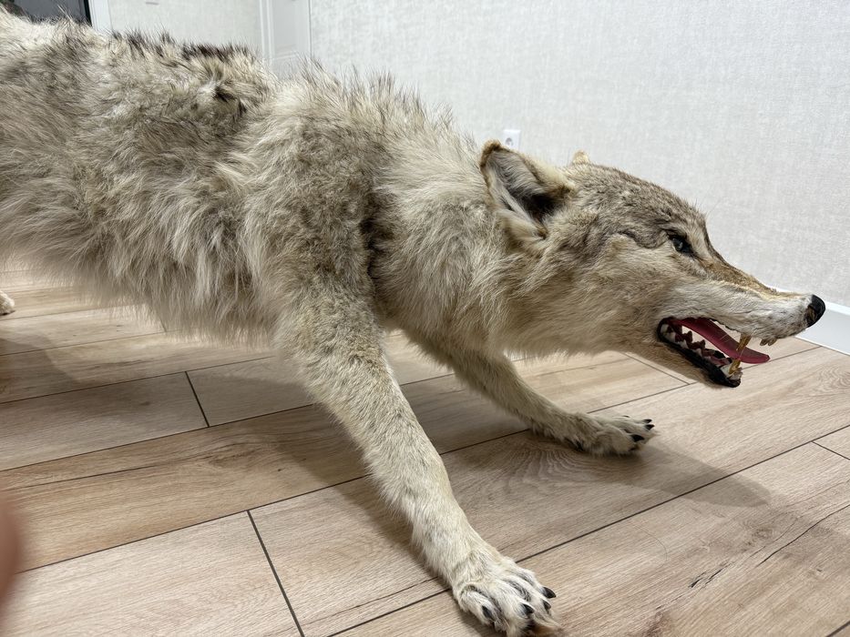 Продам состояние отличное ,цена 400000 тенге