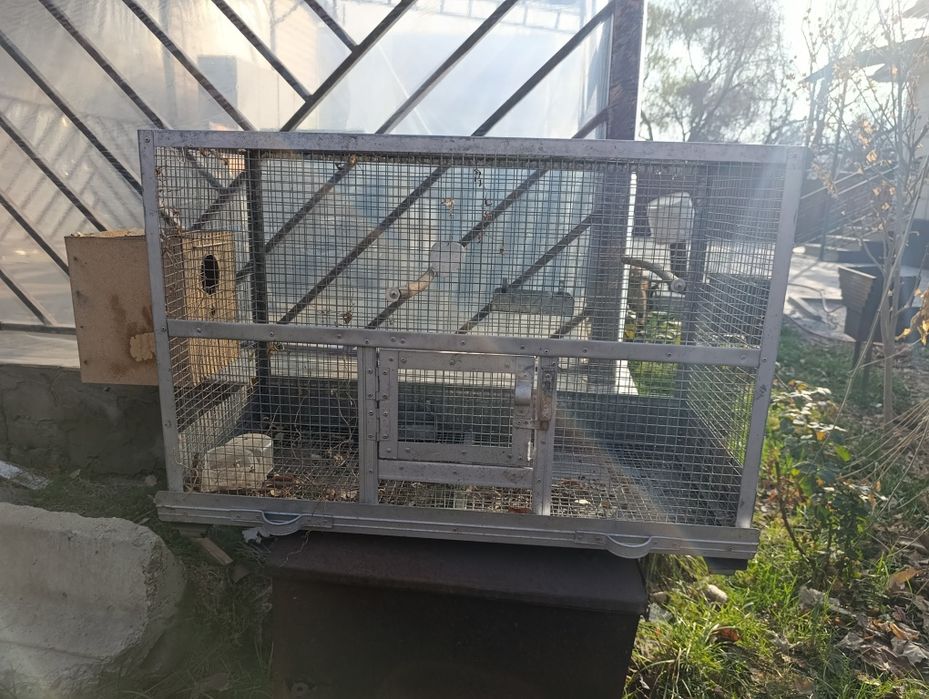 Клетка для птиц с гнездом