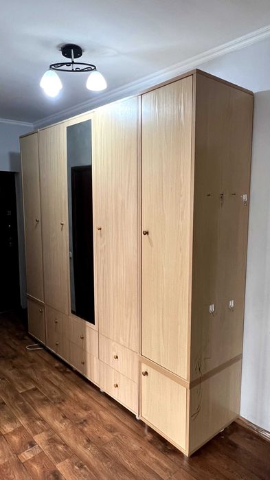 Шкаф для прихожей/спальни