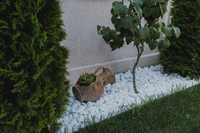 piatra decorativa naturala placaj pavaj travertin marmura thassos alba