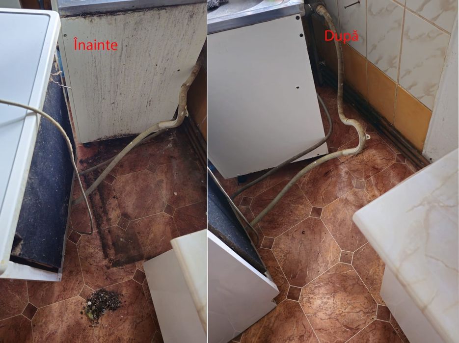 Curățenie la domiciliu