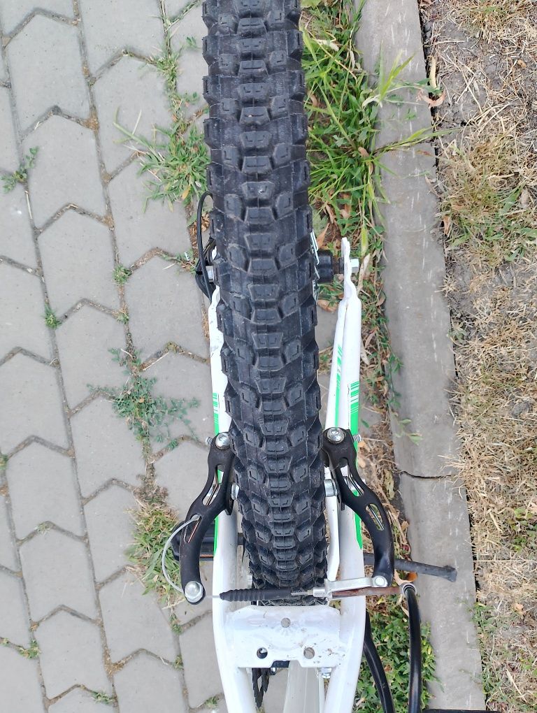 Bicicleta Esperia italia-26