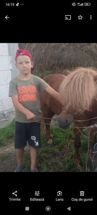 De vânzare foarte cuminte