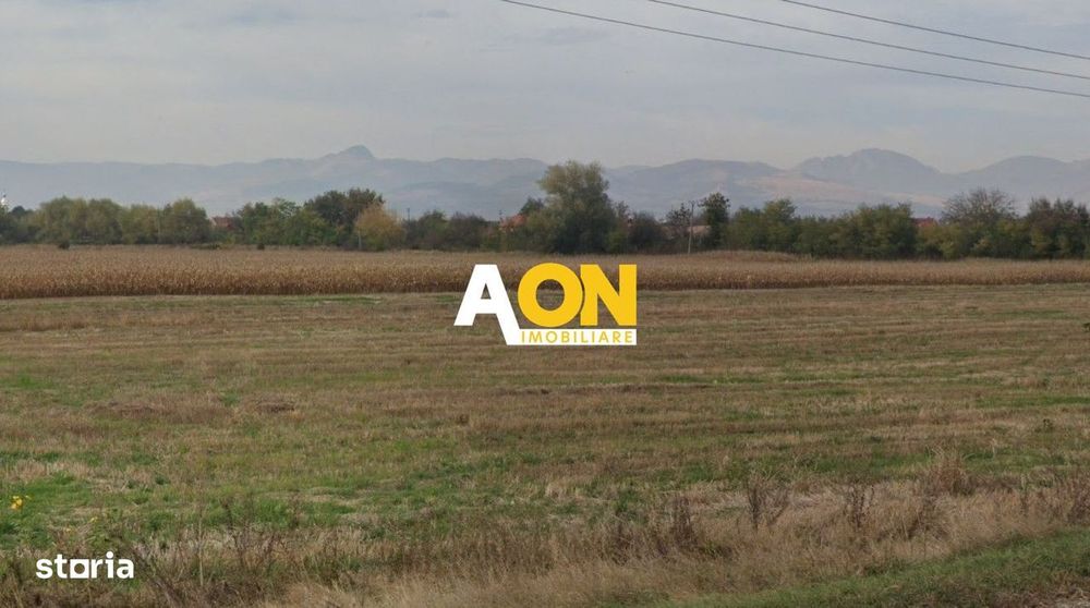 Teren intravilan industrial 5800 mp, Oiejdea, la asfalt