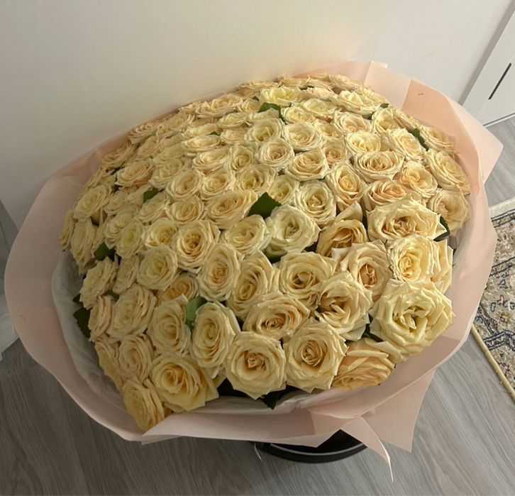 101 роза сливочное