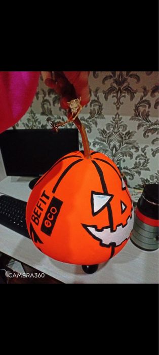 Тыква Qovoq Pumpkin dekor uchun