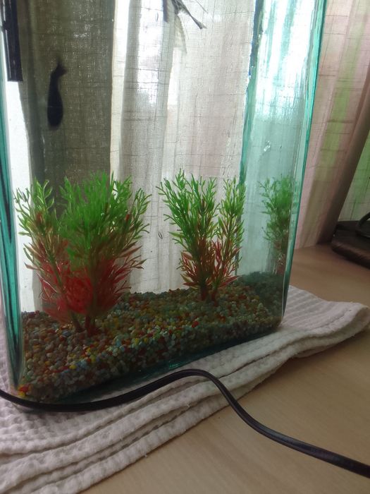 Acvariu 4 pesti filtru cu plante decorative