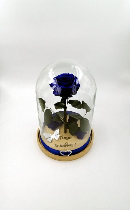 Trandafir Criogenat BiaRose mare 9cm in cupola mare de sticla 28-30cm