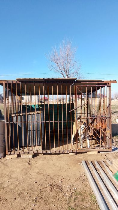 Вольер сатылады сатылады