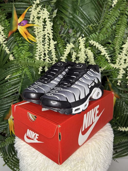 Nike Air Max Plus TN Black Silver