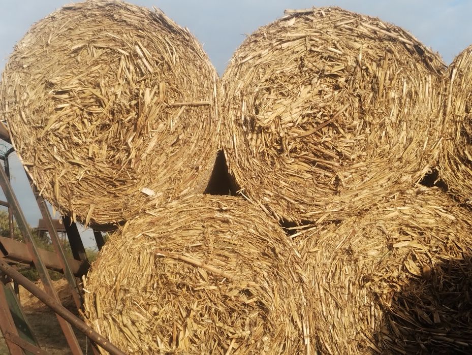 Vând sau schimb paie și tulei