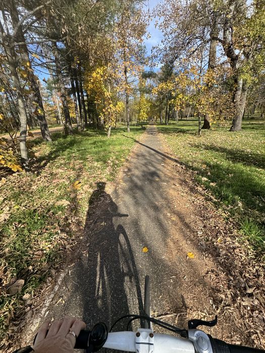 Bicicleta Enghouse 6 viteze în butuc