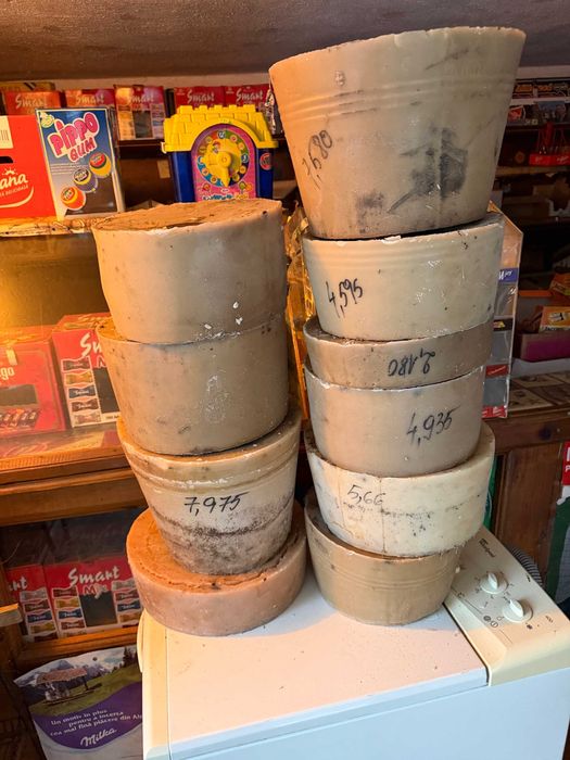 Vand Ceara pura de albine