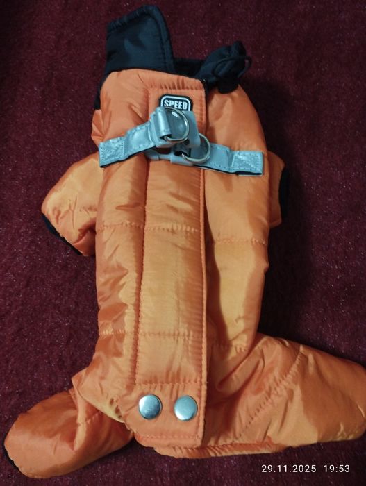 Зимни дрехи за куче