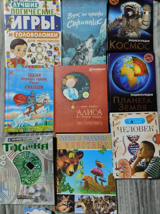 Детские книги и энциклопедии.