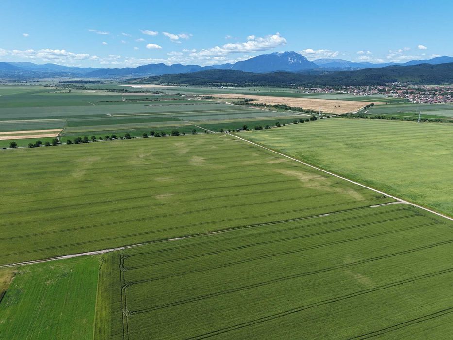 Teren de vânzare într-un ansamblu rezidențial nou!