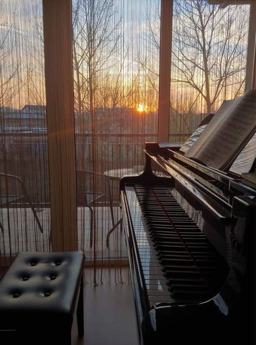 Lecții de pian pentru copii și adulți