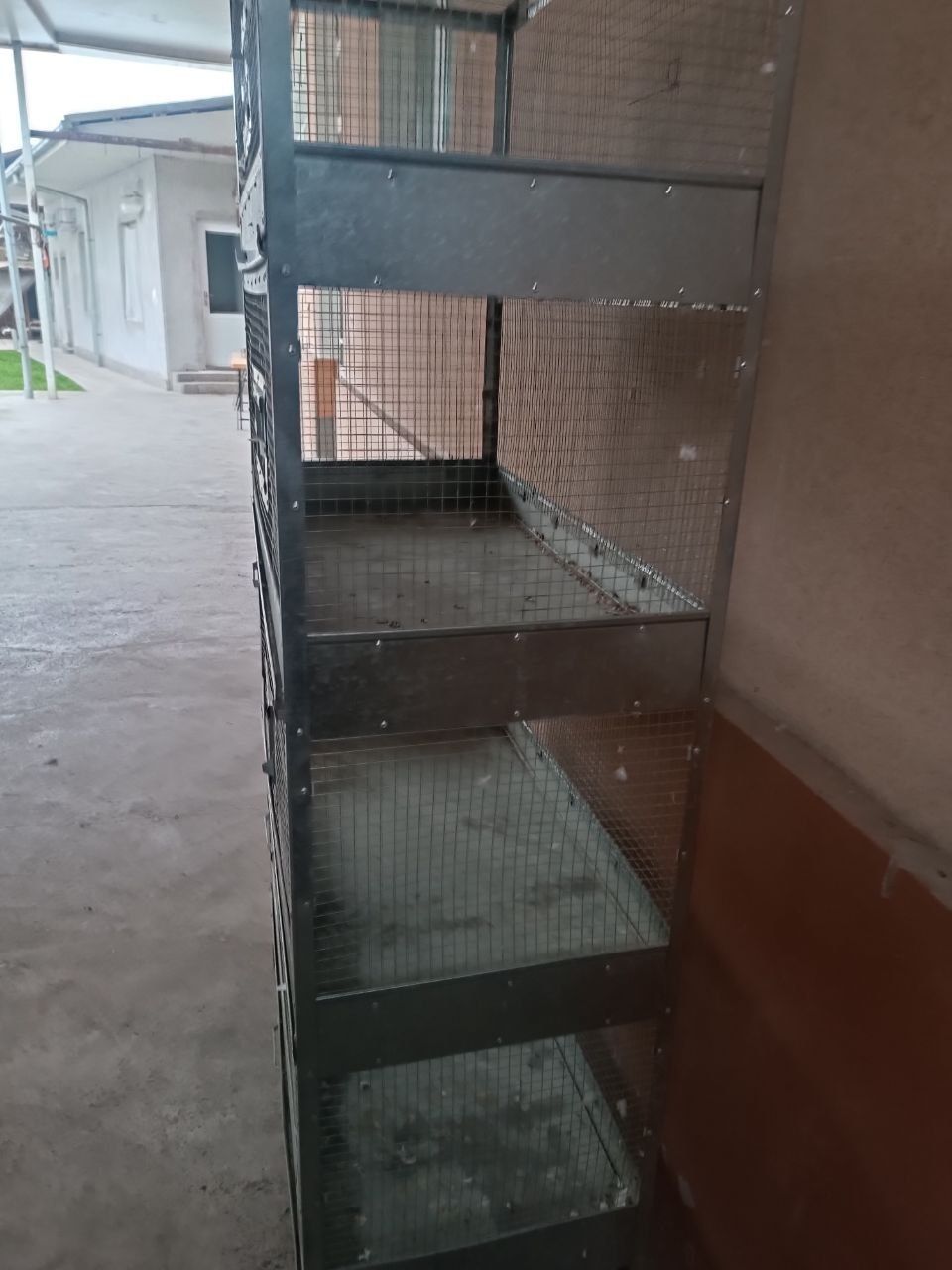 Валер . Qushlarga in
