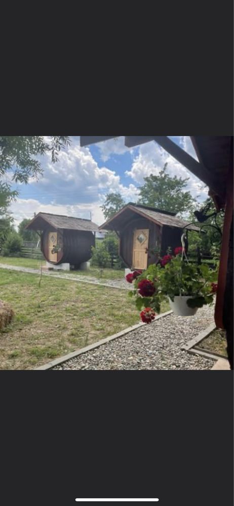 Proprietar vand casa si afacere pensiune