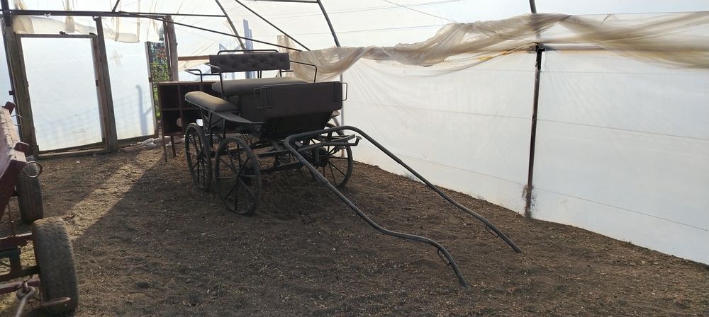 Trăsură Maraton de vânzare