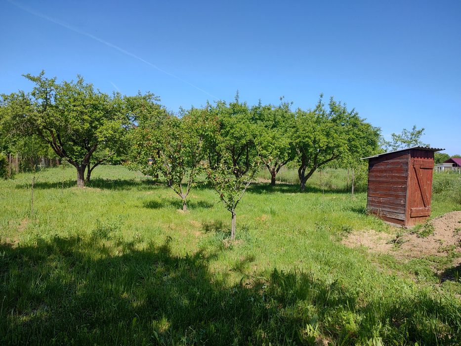 Casă de vacanță Satu Mare