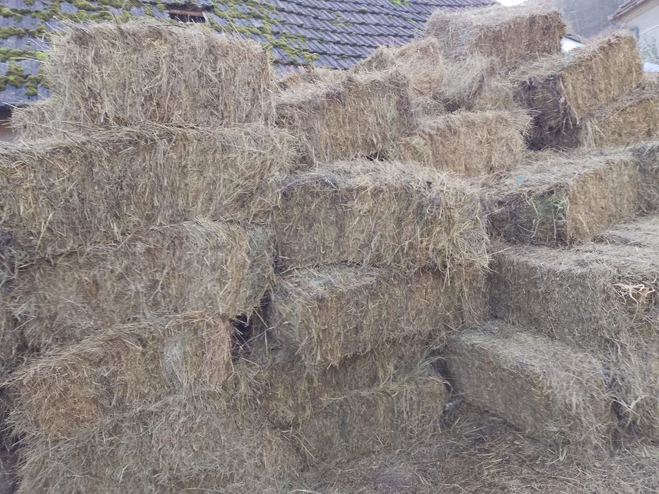 Vand baloti fân de gradina