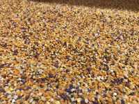 Продавам Цветен Прашец-25лв/кг-реколта 2024г!!! 100% пчелни продукти