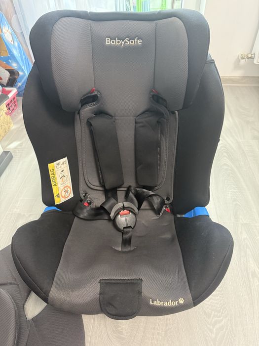 Scaun Auto BabySafe Labrador