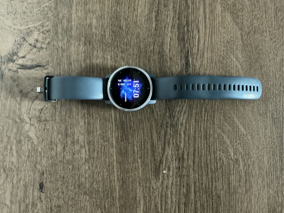 Garmin Venu 2 Smartwatch Silver Granite Blue