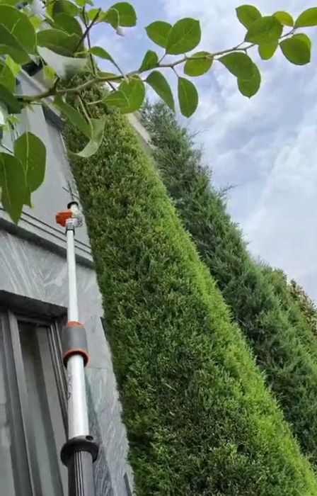 Посадка растений. Уход газонов.