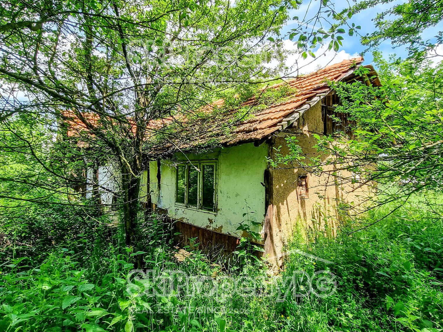 Старинна къща и чудесен парцел в Драгушиново!