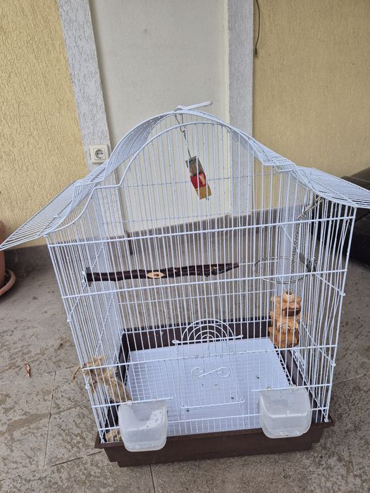 Vând colivie papagali