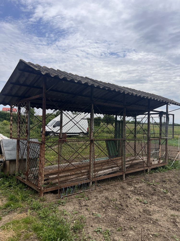 porumbar de vanzare