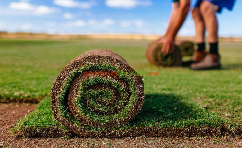 Rulouri gazon - irigatii - producator