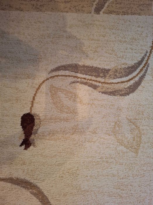 2 covoare identice, dimensiuni 150/80 cm