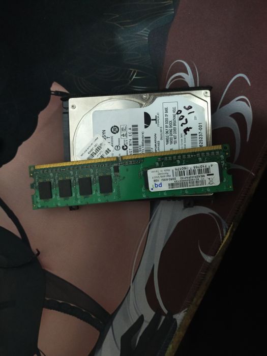 Плашка оперативной памяти на 1 Гб и жосткий диск на 500 Гб