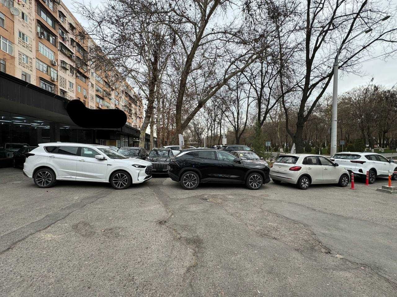 Готовый автосалон Корзинка Абая шоурум 188 м² парковка на 15 машин