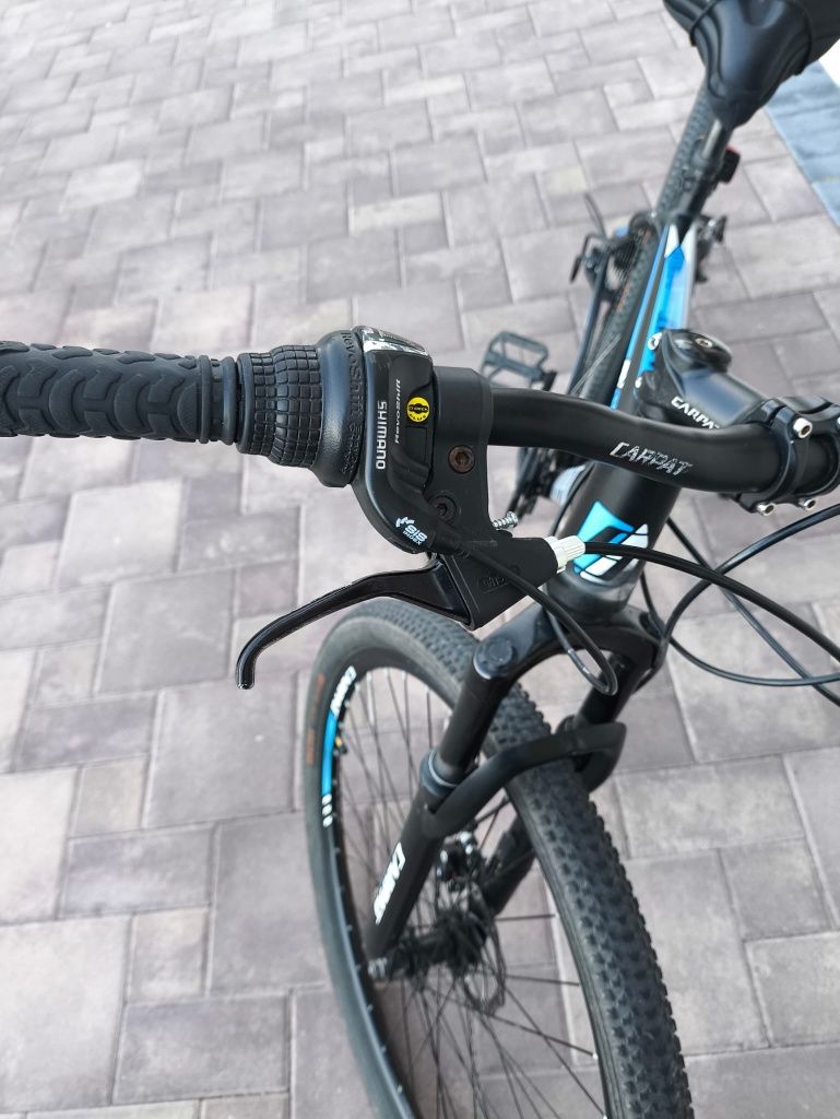 Bicicleta CARPAT Montana 29"