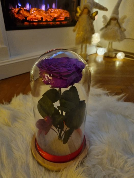 Trandafir criogenat !