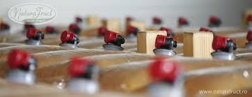 Punga Bag-in-Box-5l/rezista la 100 grade / Pret DE LA 2.58 ron