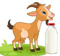Lapte de capră 100% natural