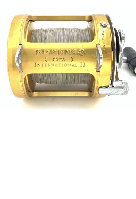 Multiplicator PENN REELS 50TW International II