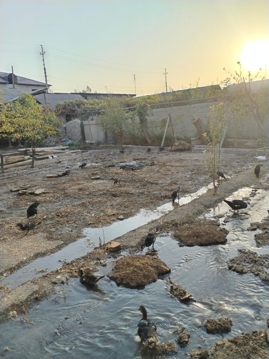 Маргилон шахар надирмат махласида ер сотилади