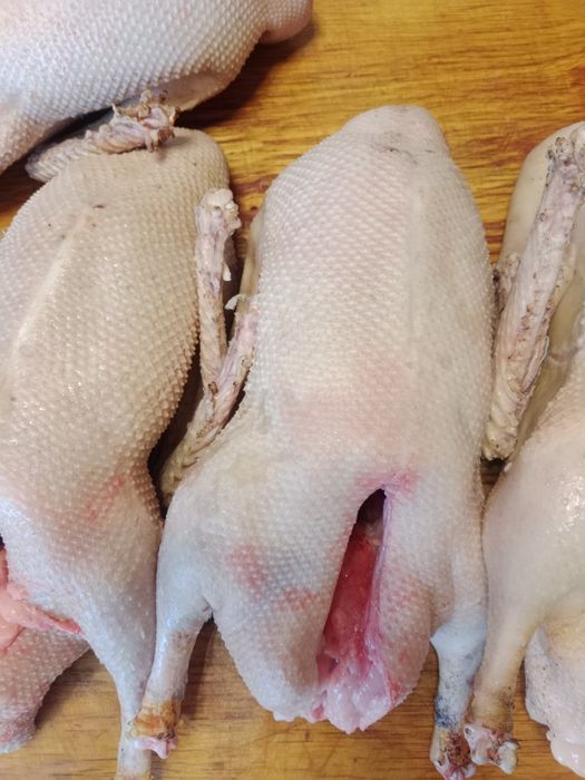 Продаю Гуси тушку за 12000тг