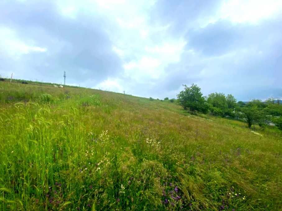 Парцел в с. Дивотино